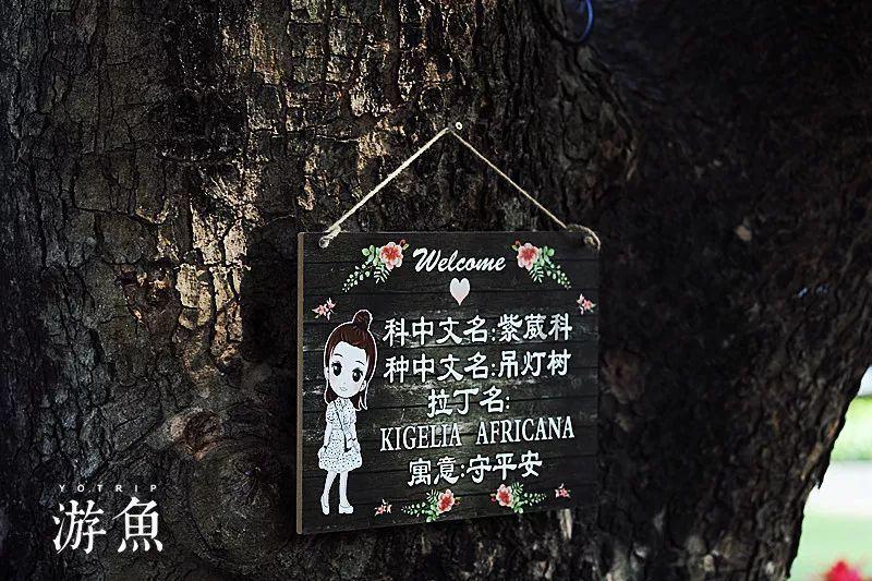 僵尸部队三部曲