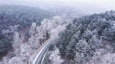 小猫钓鱼开船版最新版下载